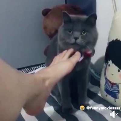 Will smell nice if even your cat is gagging