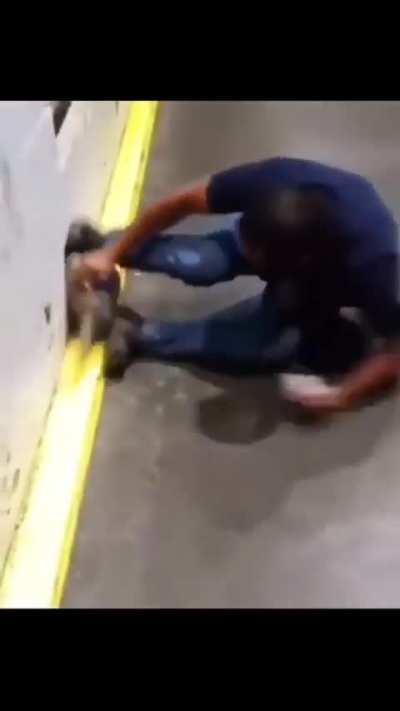 Pegue o "pombo"
