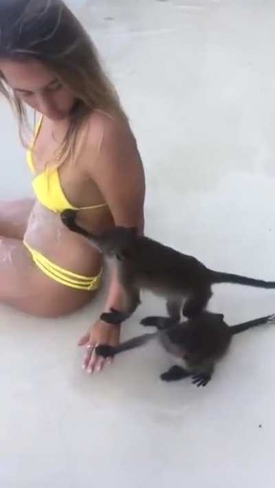 Monke