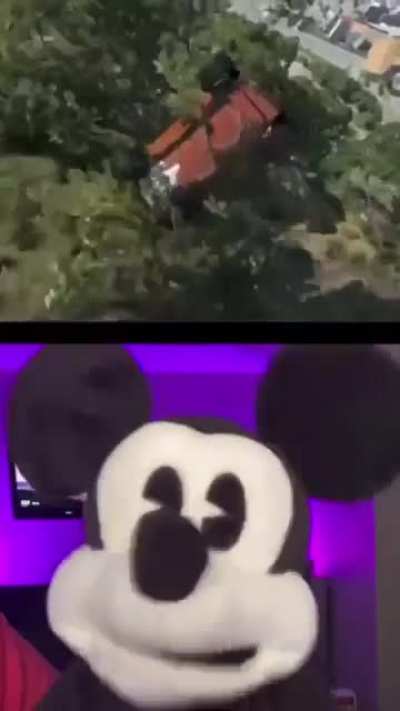This Mickey guy again