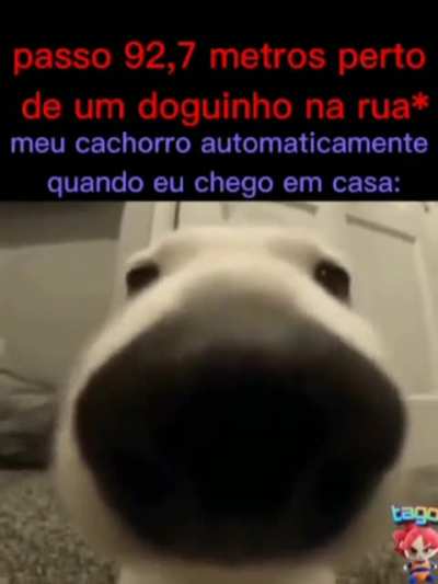Nariz, muito nariz