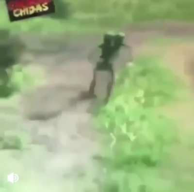 Ay (interesting title)