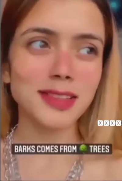 𝑩𝑶𝑶𝑴 indeed