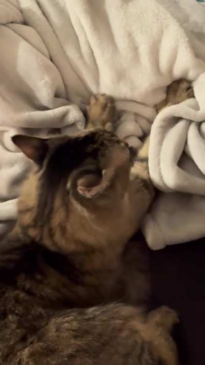 Momo working overtime