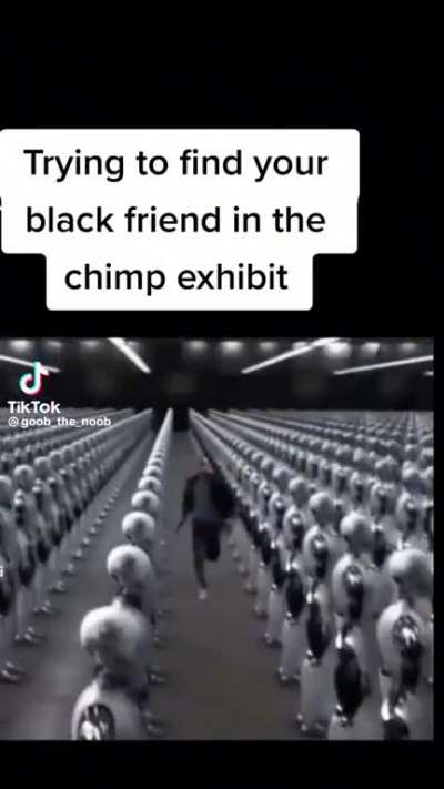 Looked everywhere for them
