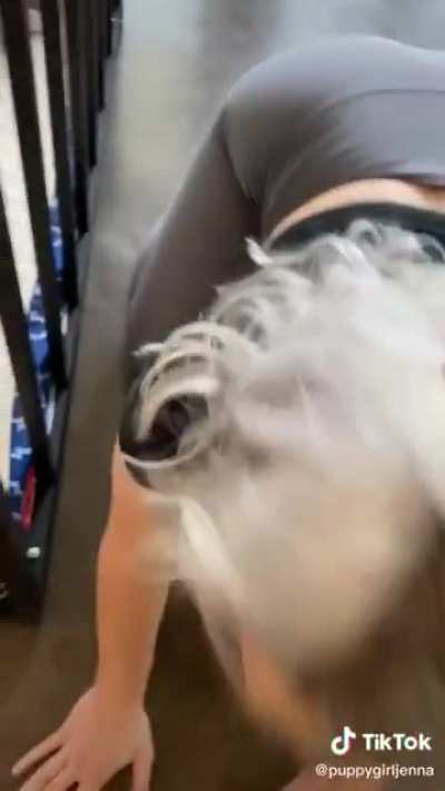 WHAT THE FUCK