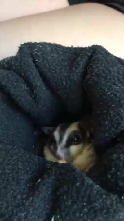 Treat grabbies