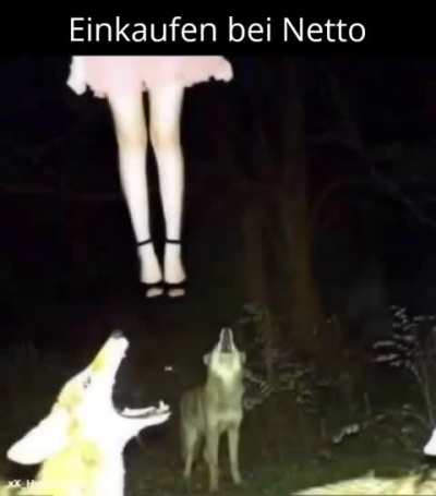 ich_iel