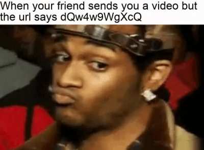 that's how memers look at normies.