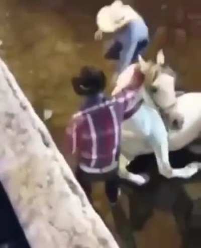 HMF - poor horse