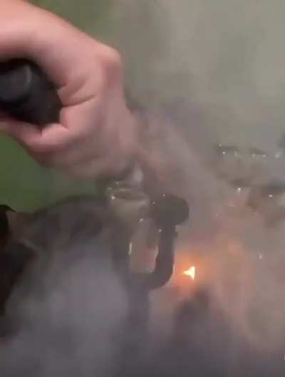 YOLO