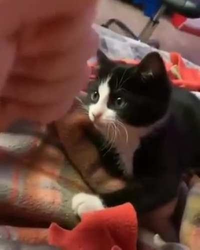 Nom