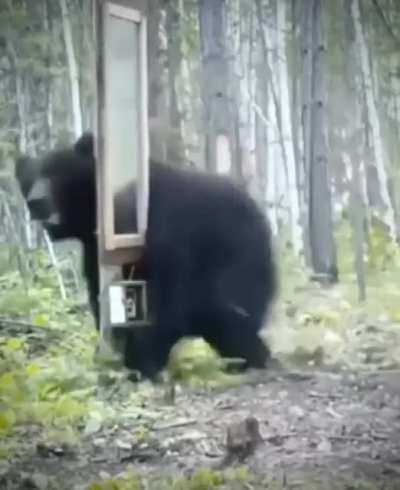 Maybe Maybe Maybe