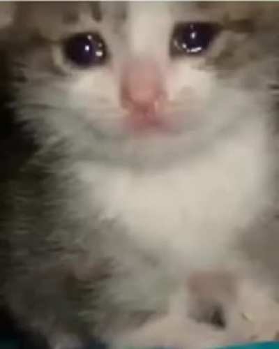 Ti ti ti tiiiiik