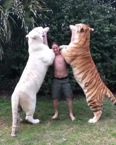 Feeding two units
