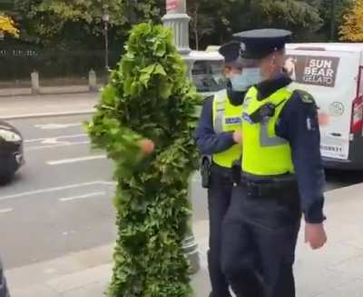 Pol&iacute;cia tomando susto para a a planta