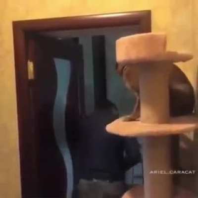 Double skippadeepaps