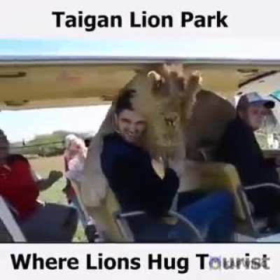 tOURIs KIlLEd By STaRving lIoNS