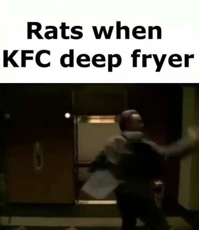 Rats, we're rats, we're the rats 💀