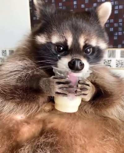 Mmm so tasty😍