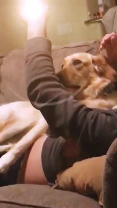 "My dad launching a nuclear missile on my dog." by aboycalledjonny