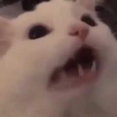 nya