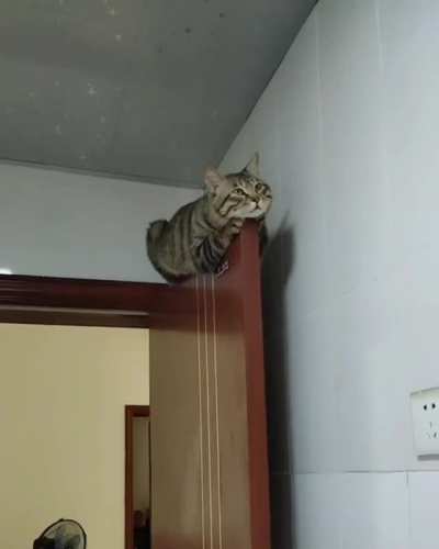 Sleeping in a stupid place.