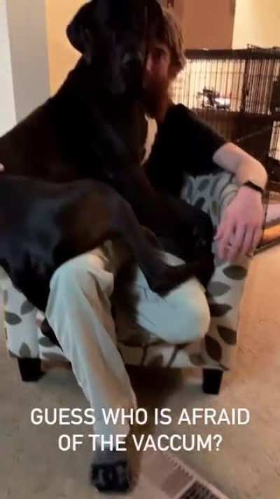 They&rsquo;re just enormous babies