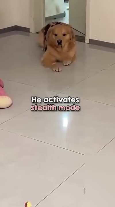 Stealth Mode ✅