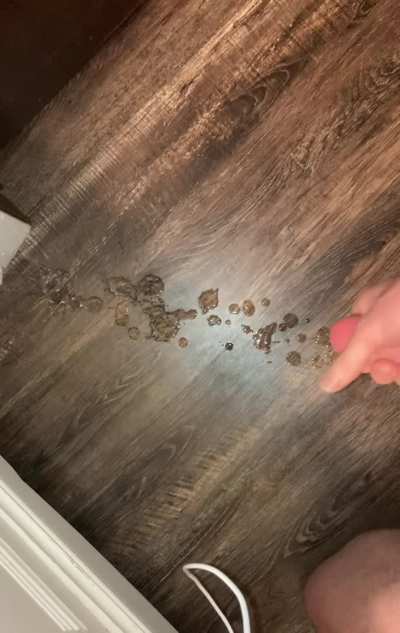I made a little mess