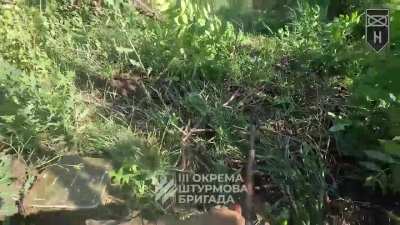 Infantry attack on Russian tree-line positions on the Kharkiv front under mortar fire. 2nd Mechanized Infantry Battalion of the 3rd Assault Brigade. Published on July 20, 2024.