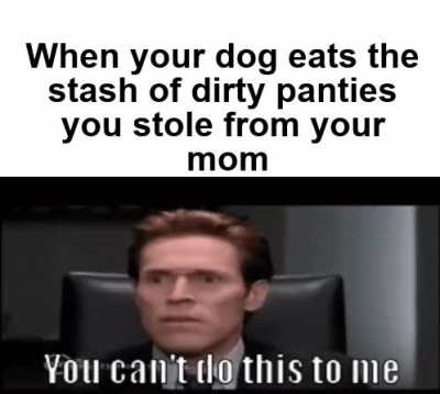I thought dogs were supposed to be man&rsquo;s best friend.