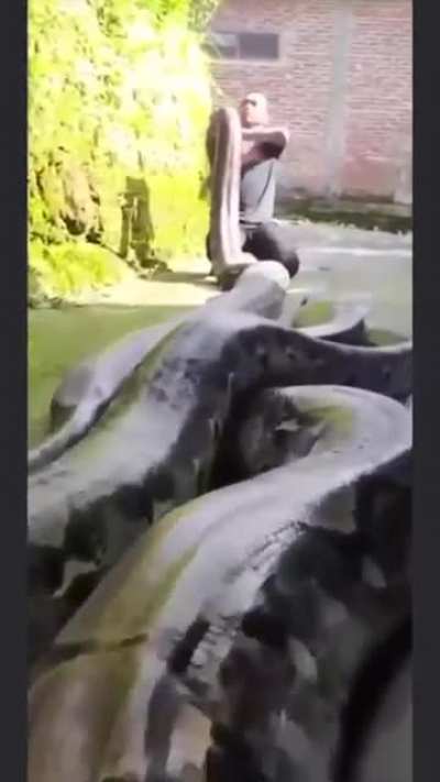 One wrong move...