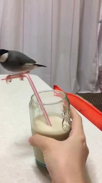 "Your drink is my playground now"