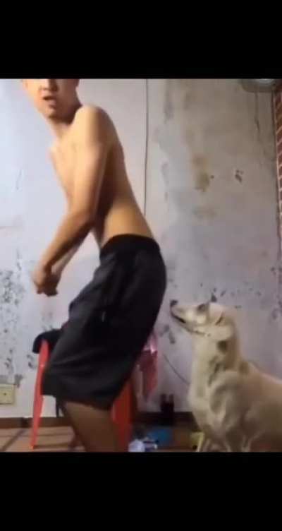 Nice moves