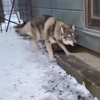 No don’t go near it!....never mind
