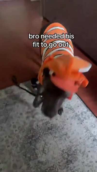 ntsssdfgbtadssgfnp