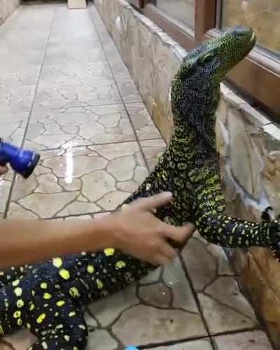 Bath and scritches
