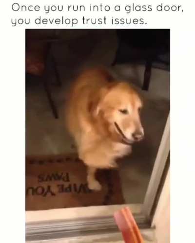 He made it through in the end
