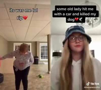 I&rsquo;m 15 and this is yeet
