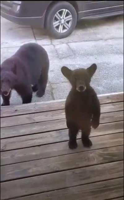 He is very curious.