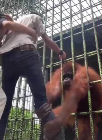 Maybe maybe maybe