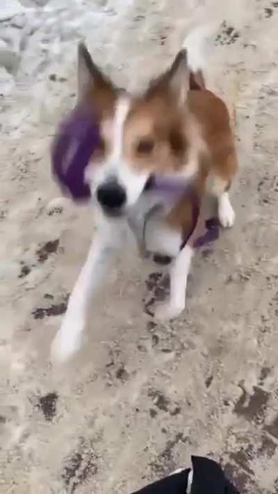 &ldquo;better not drop that again&rdquo;