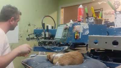 Another day of printing masks while my supervisor tries to sleep.