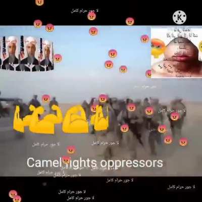 🔥🔥🔥🔥🔥🔥Camel vs US army💪💪💪💪🔥🔥🔥🔥🔥🔥🔥allah only🤲🤲🤲🤲🤲🤲🤲🤲🤲🤲🤲🔥🔥🔥