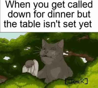 How cats disappear