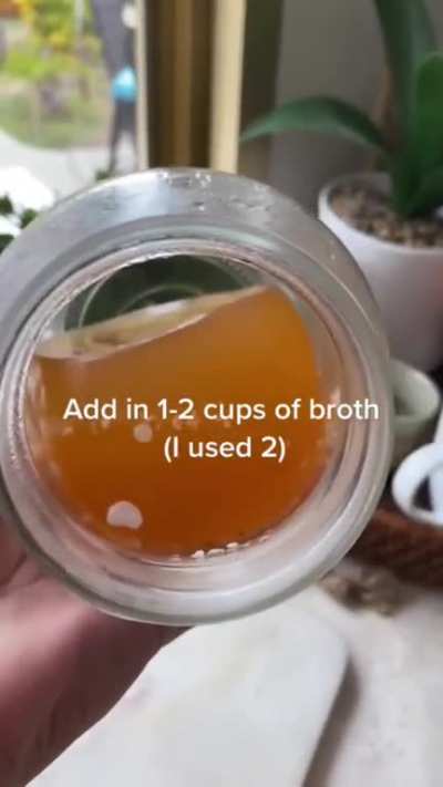 "Carnivore" soup