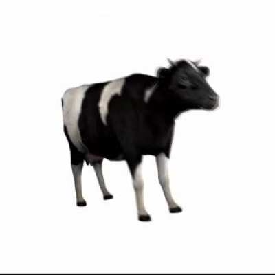 Polish Cow Ray Tracing