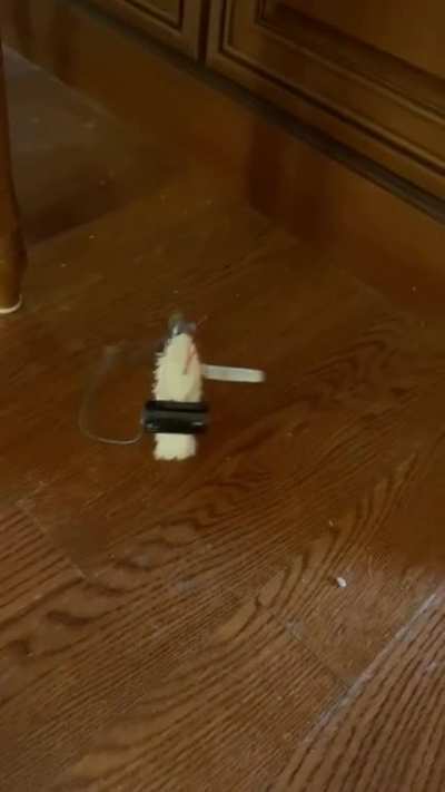 I couldn&rsquo;t get a Roomba so I made my own