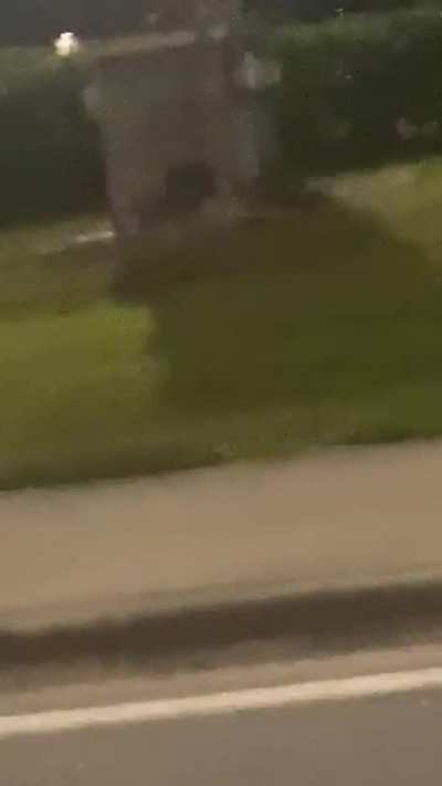 I literally just saw someone fully wrapped in plastic wrap rolling on (a skateboard?) backwards at night in a thunderstorm in the middle of the road and I just&hellip;. Wtf? I wish the video was better.